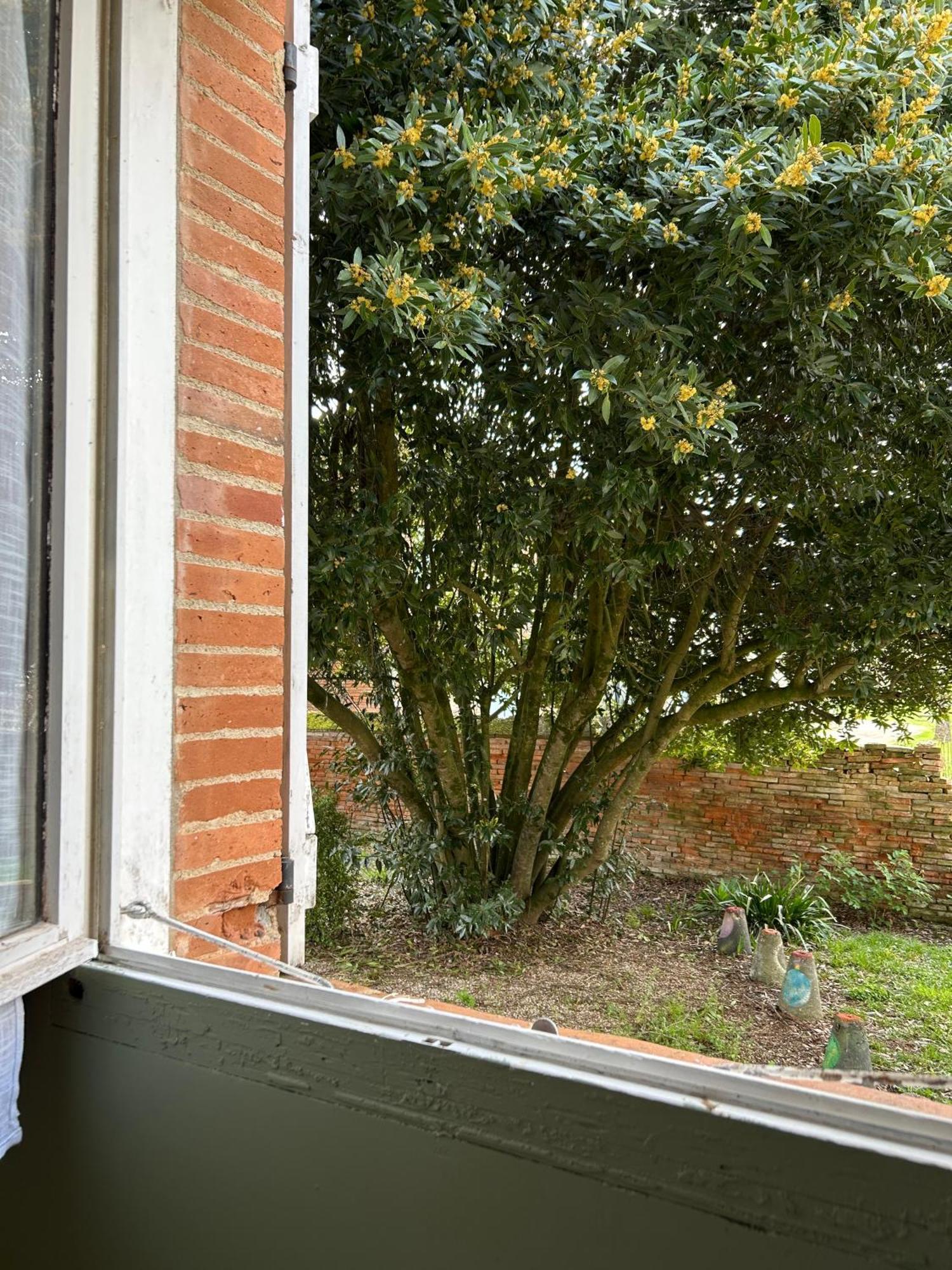 Manoir De La Gravette, Manoir Et Table D'Hotes Montauban Esterno foto